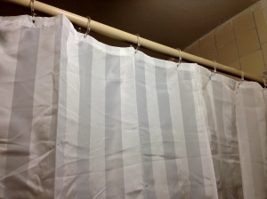 B's Shower Curtain Close-Up